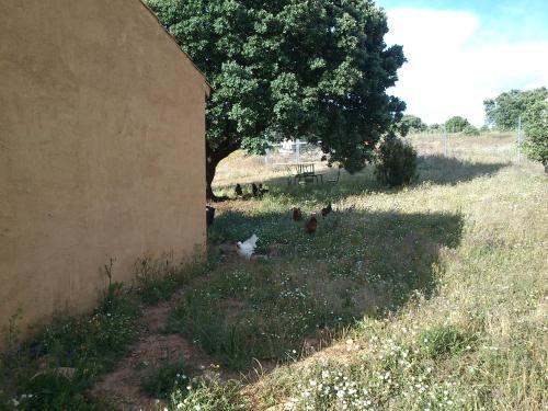 Agroturismo La Posada De Alcudia