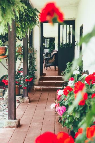 Hotel Hacienda Baza