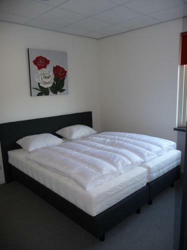 Bed & Breakfast Apartment Nieuw-moscou