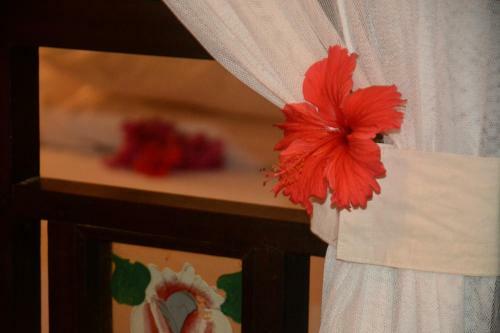 Bed & Breakfast Luna House Moyo Wa Dunia Ltd