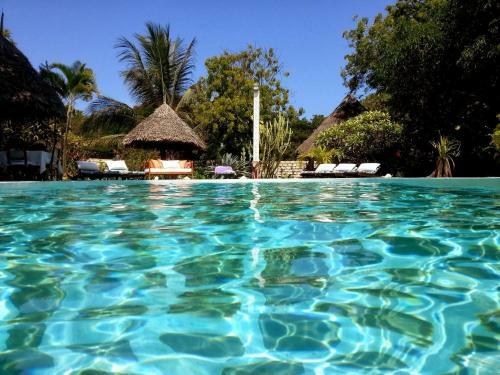 Bed & Breakfast Luna House Moyo Wa Dunia Ltd