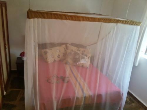 Apartamento Eden House Cottages