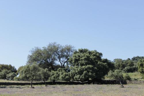 Casa Rural El Tejar