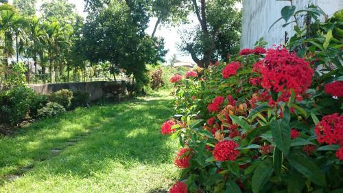 Bed & Breakfast Lost And Find Homestay