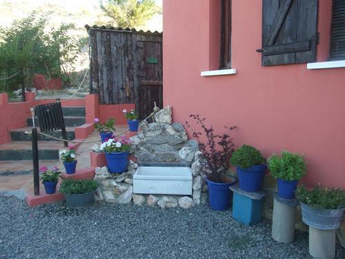 Agroturismo El Mirador de Cogolludo