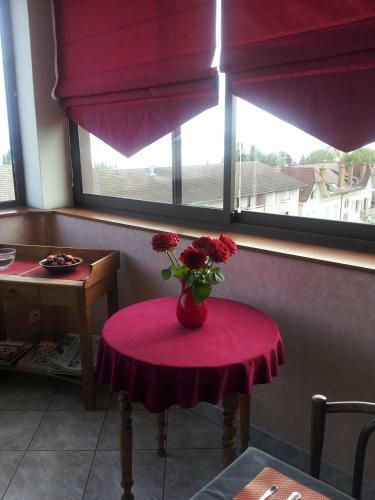Hotel H�tel Evian Express - Terminus