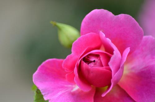 Agroturismo Kilthorpe Grange Bed & Breakfast