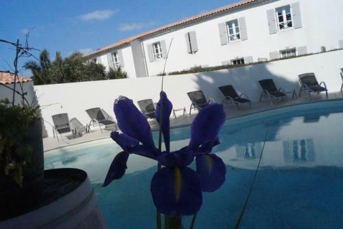 Apartamento Privil�ge Appart H�tel La Perle De R�