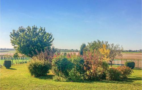 Apartment Pajtika Utca-cserszegtomaj
