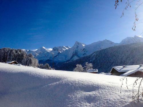 Hotel Chalet La Vigogne Et Spa