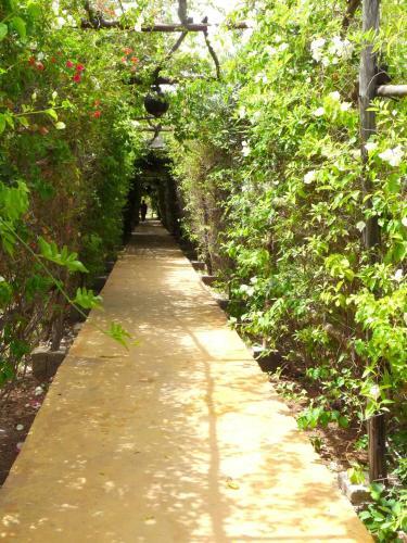 Bed & Breakfast Manzil La Tortue