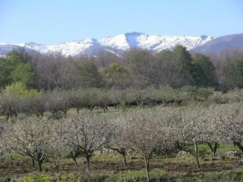 Agroturismo Casa Del Horno