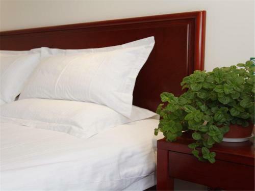 Greentree Inn Shanghai Caoan Road Textile Express Hotel