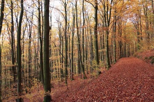 Hotel Kramer