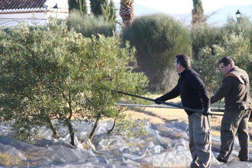 Agroturismo Cortijo Sabila