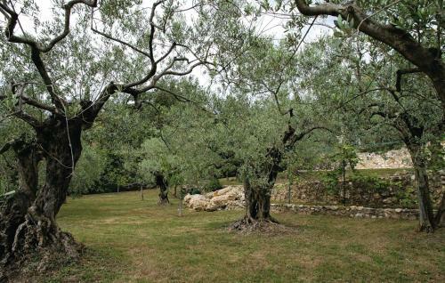 Holiday Home Fayence Op-1446
