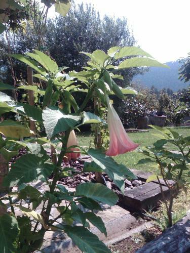 Agroturismo Fuente De G�elo