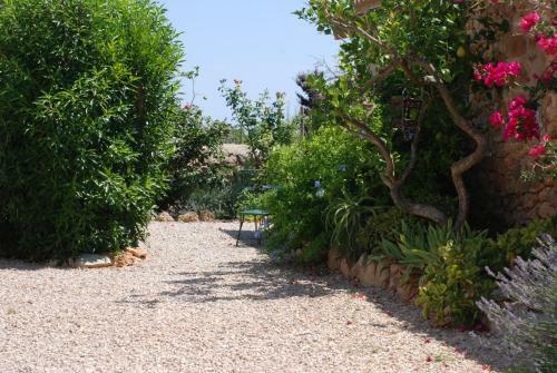 Agroturismo Finca Can Paulino