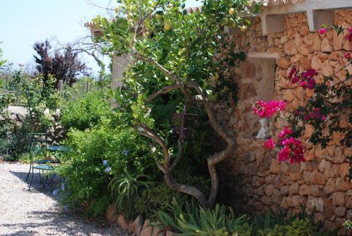 Agroturismo Finca Can Paulino