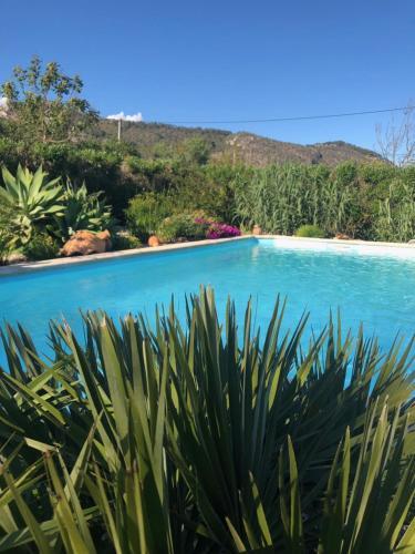 Agroturismo Finca Can Paulino