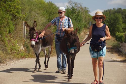Agroturismo Finca Can Paulino