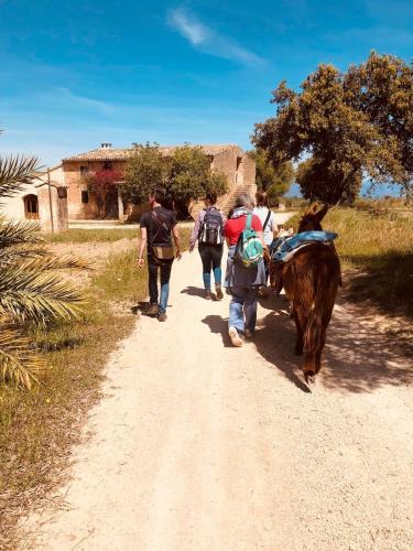 Agroturismo Finca Can Paulino