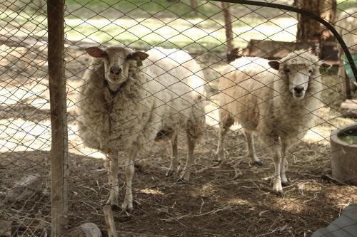 Agroturismo Complejo Los Parrales