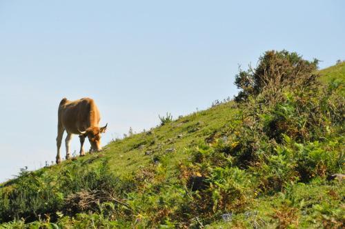 Agroturismo Casa Rural La Riba