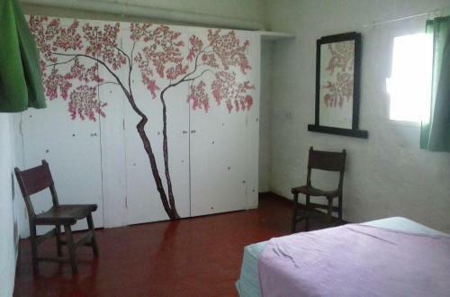 Agroturismo Es Barranco