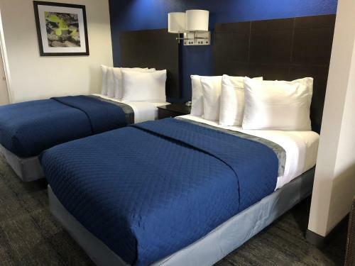 Motel Executive Inn And Suites Joaquin