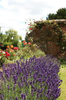 Agroturismo The Old Rectory Country House