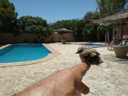 Agroturismo Cortijo Ferradores
