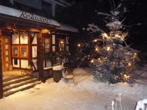 Hostal Hotel Restaurant Caf� Rapp