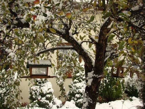 Hostal Pensjonat B&B Nad Rudaw?