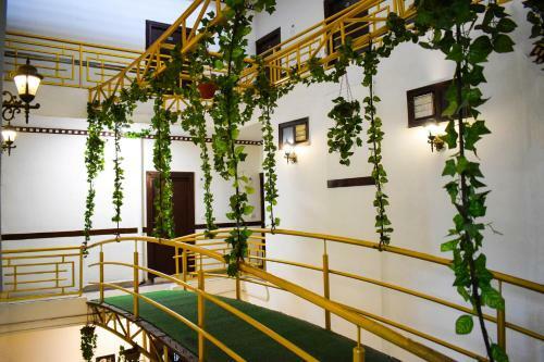 Green Hotel
