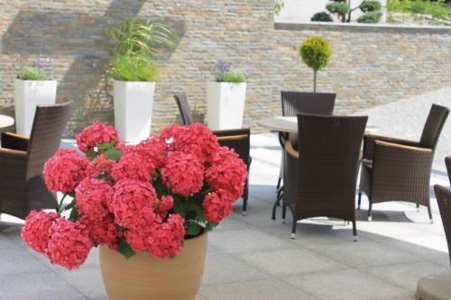 Hotel Willa Hueta