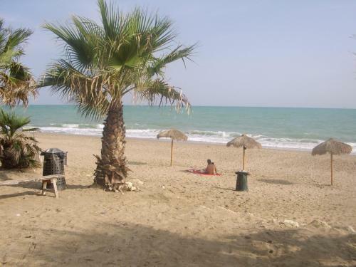 Hostal B&B Valoroso Village