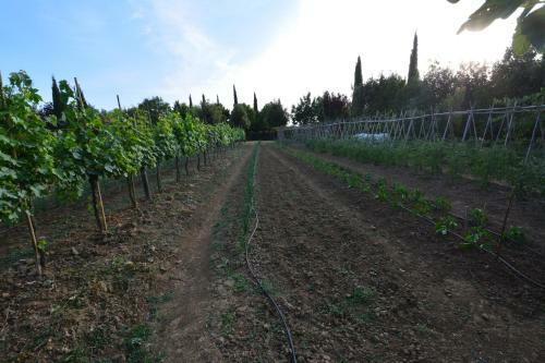 Agroturismo Agriturismo Dolce Verde