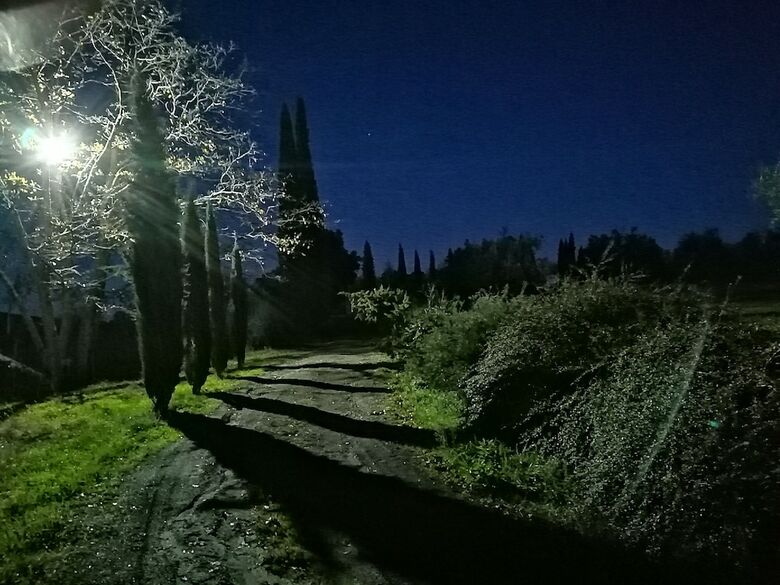 Agroturismo Podere Campovecchio