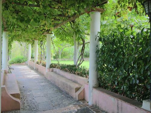 Hostal Holiday Home Flor Parghelia