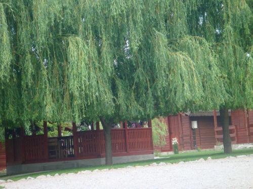 Hostal Pensiunea La Tavi
