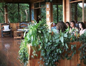 Hotel Cloudforest Lodge
