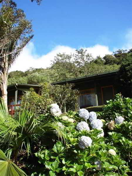 Hotel Cloudforest Lodge