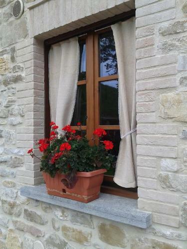 B&B Monticelli