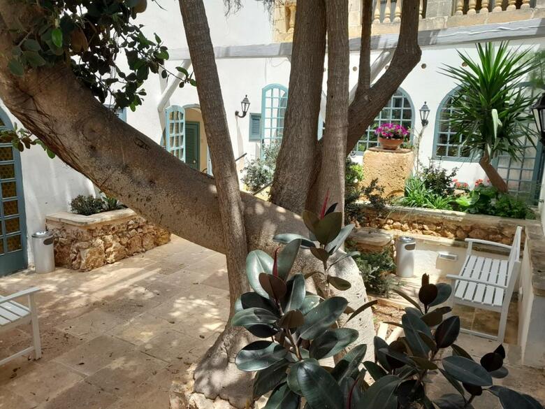 Hotel Cornucopia
