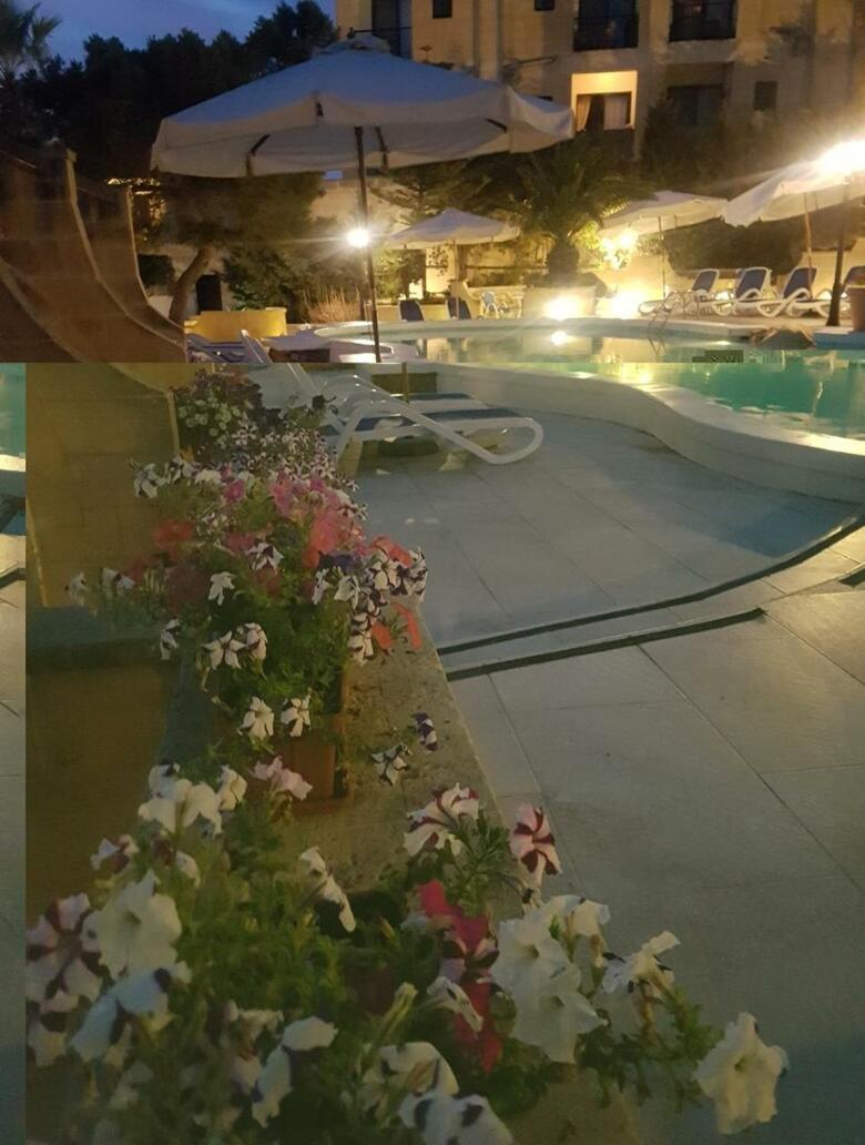 Hotel Cornucopia