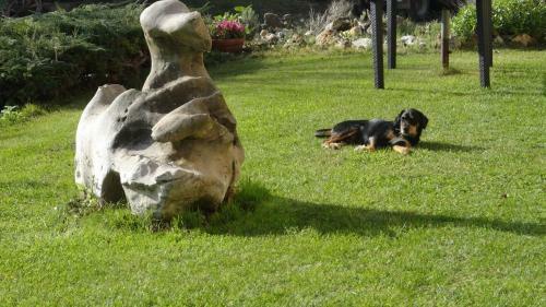 Agroturismo Agriturismo I Sassi Grossi