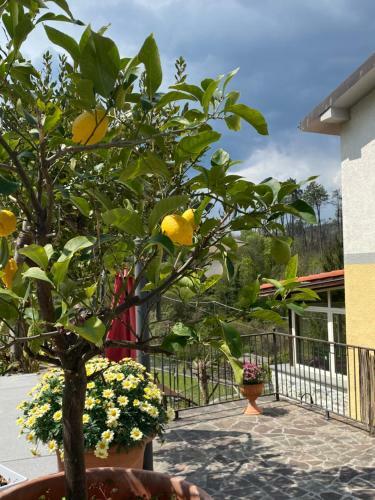 Bed & Breakfast Country House La Scortica
