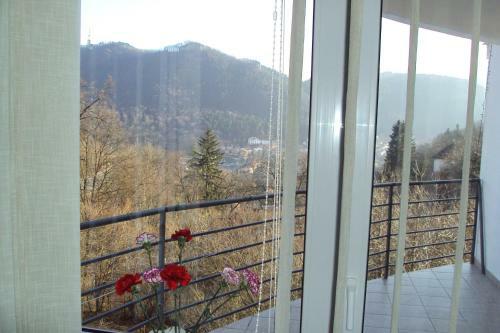 Hostal Pensiunea Warthe