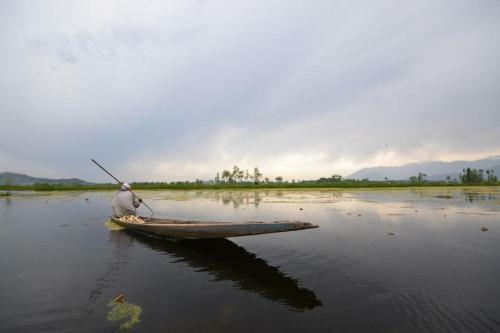 Houseboat Lily Of Nageen